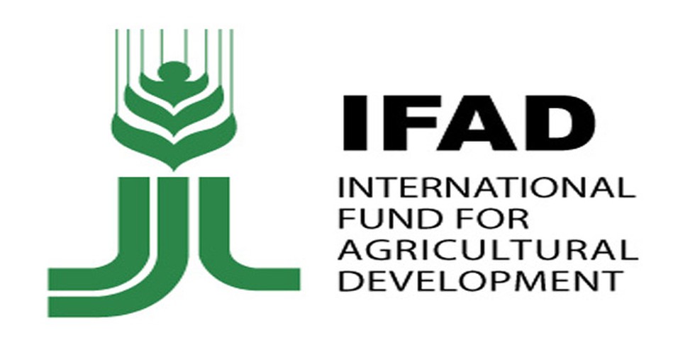 IFAD recrute un Country Programme Assistant